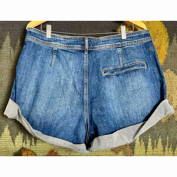 Anthropologie Pilcro Denim Shorts 32