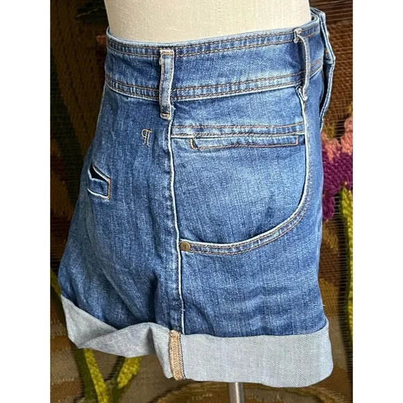 Anthropologie Pilcro Denim Shorts 32