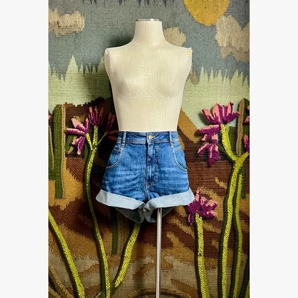 Anthropologie Pilcro Denim Shorts 32