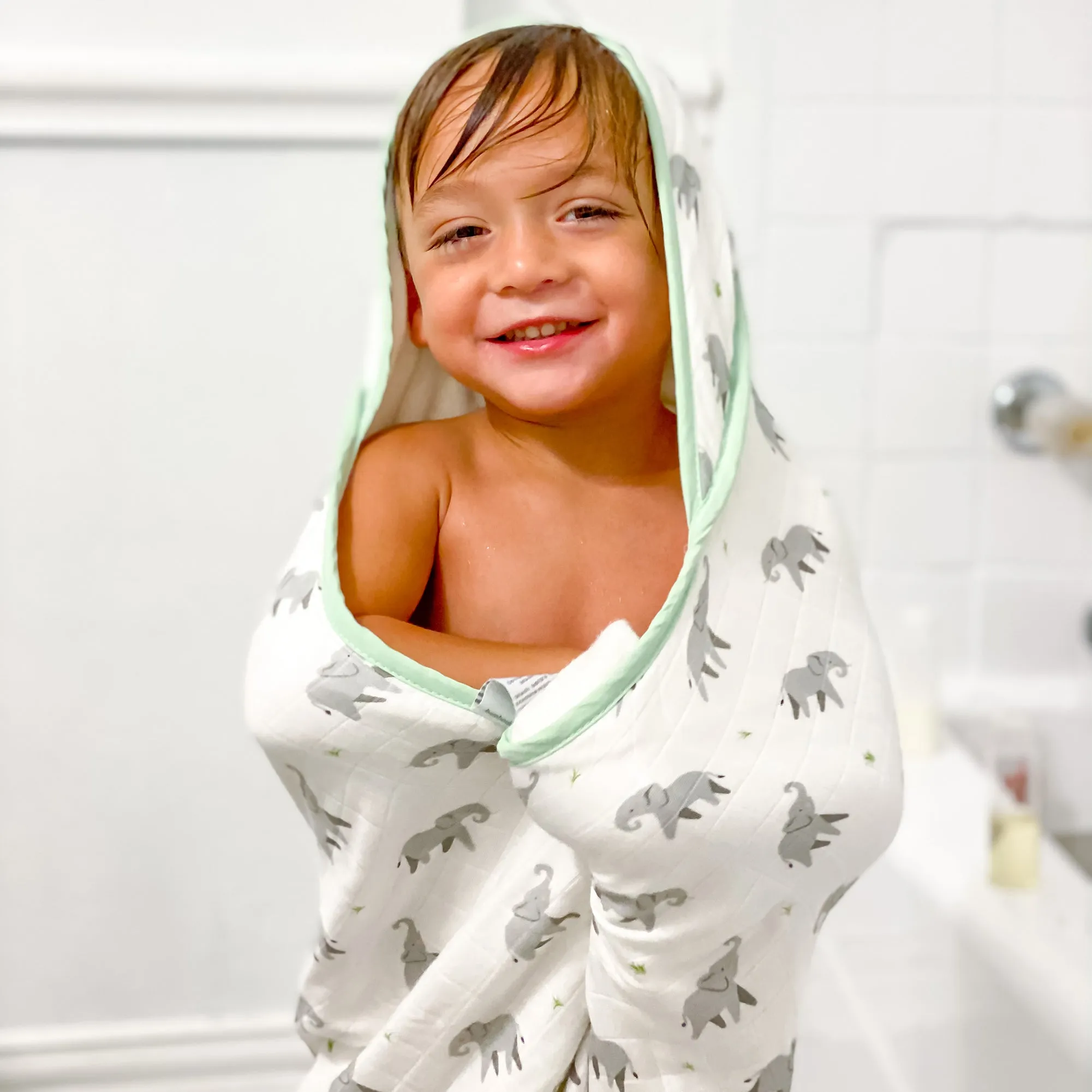 Elephant Hooded Towel Set