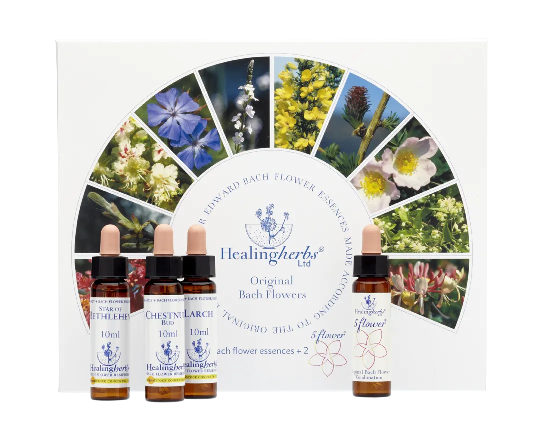 Healing Herbs Ltd Set of Full 40 10ml Bottles