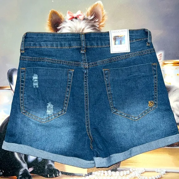 Indigo Rein 2 Shorts HighRise shorts size 5 with free beach bag