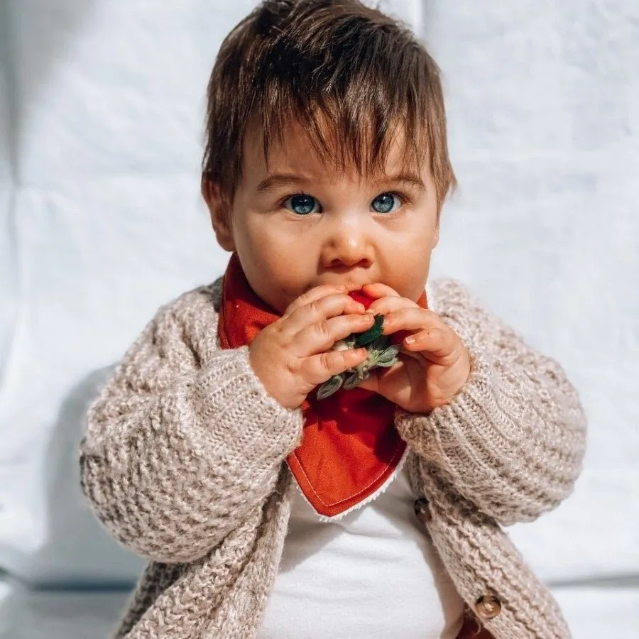Personalised Burnt Sienna Bandana Bib