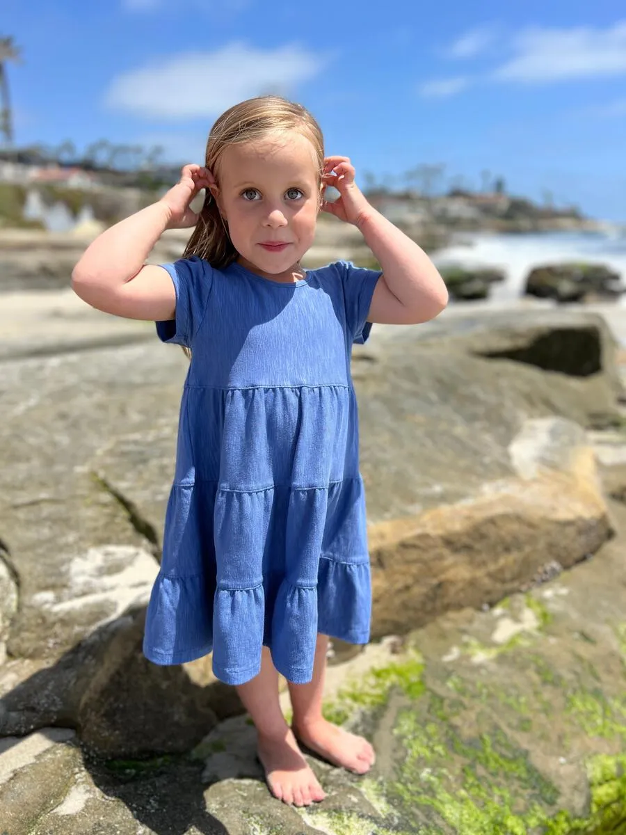 Vignette Iona Dress in Blue